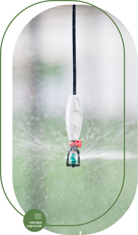 Tuoi phun suong tu dong 1