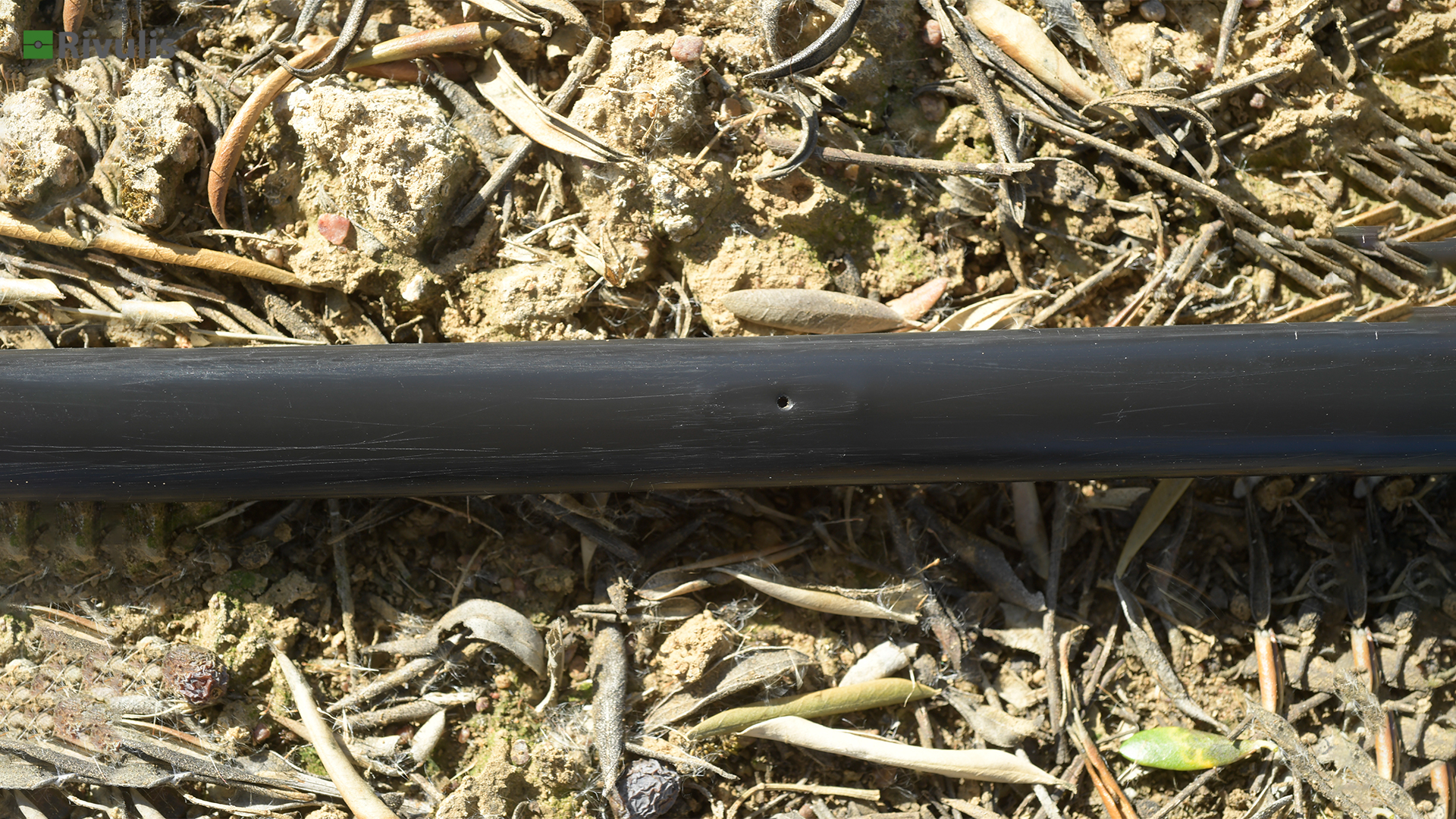 Ống tưới nhỏ giọt rivulis d5000 1 ứng dụng ống tưới nhỏ giọt D5000