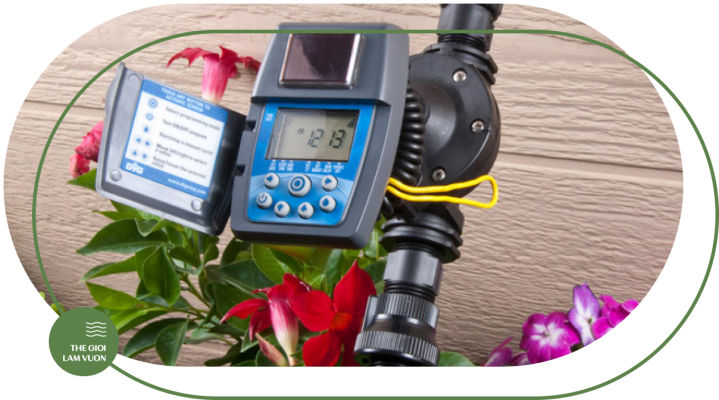 Hen gio tuoi cay tu dong