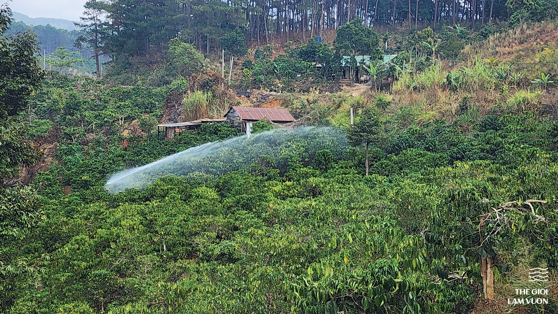 Hình ảnh thực tế súng tưới cây Sky