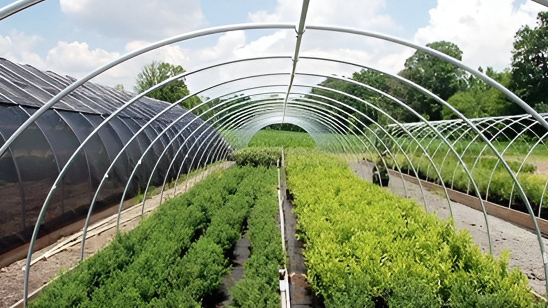 Khung giàn hỗ trợ trồng cây 1 Khung giàn hỗ trợ trồng cây