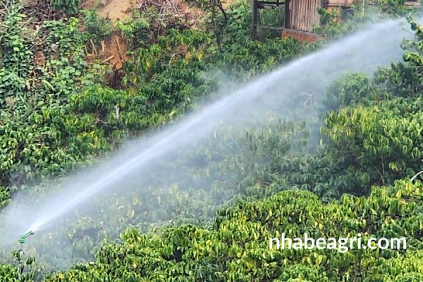 Giá súng tưới cây sky 21 Gia-sung-tuoi-cay-sky