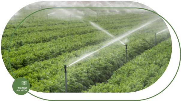 Bec tuoi rau tu dong