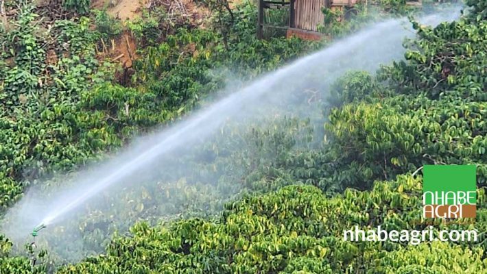 Địa chỉ bán béc tưới cây tại đak nông 23 Địa-chỉ-bán-béc-tưới-cây-tại-Đak-nông