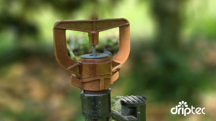 Chi-phi-lap-dat-he-thong-tuoi-sau-rieng-tu-dong