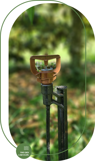 Giai phap tuoi sau rieng tu dong noindex