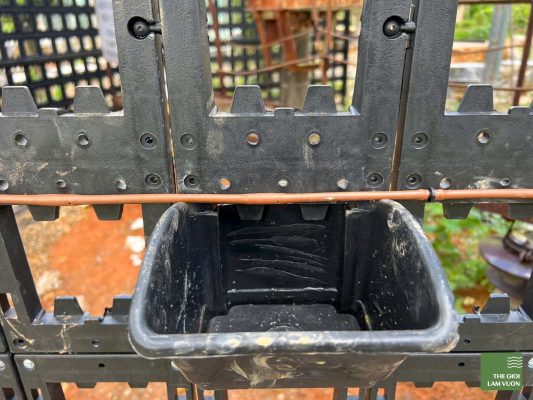 Thi công vườn tường 3