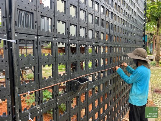 Thi công vườn tường