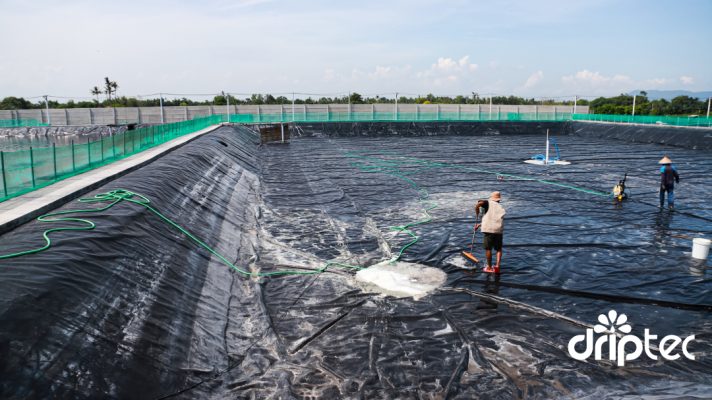 Huong dan thi cong bat lot ho