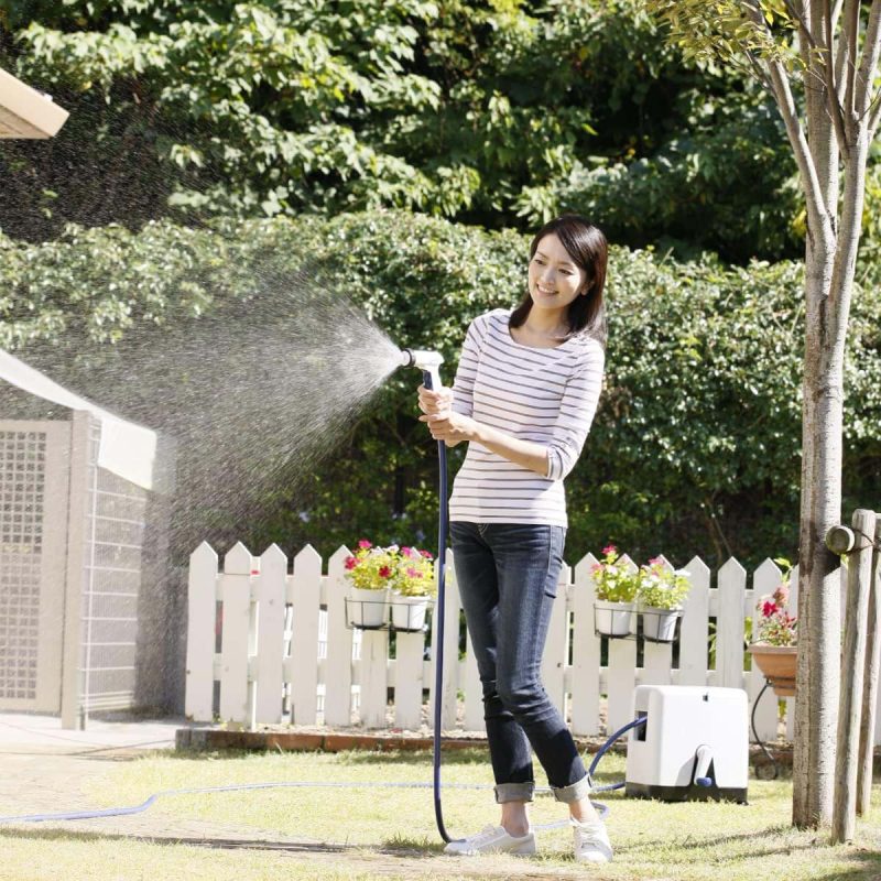 Boxy-Twister-Takagi-infor