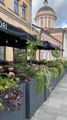 Những mẫu chậu nhựa kích thước lớn trang trí quán cà phê sân vườn